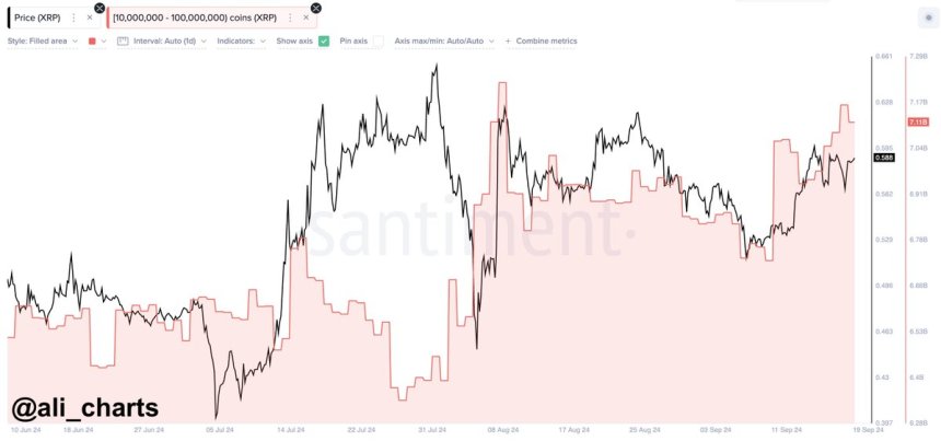 Ripple whales bought over 380 million XRP in the past 10 days. 