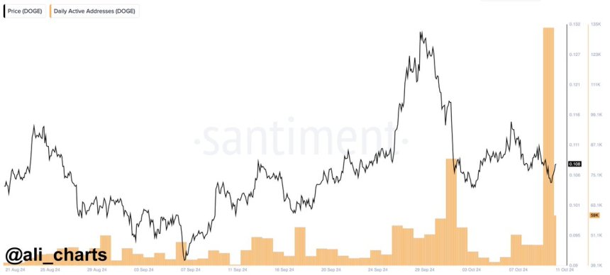 Dogecoin addresses recently surged to 133,880. 