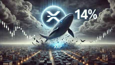 XRP Whale