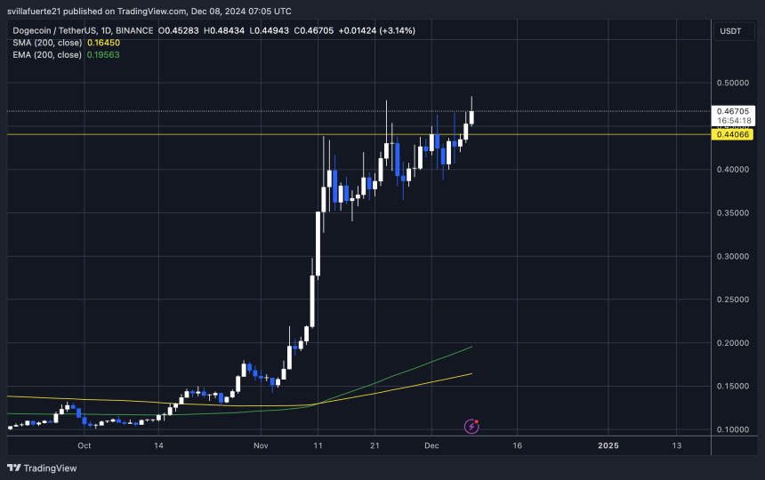 DOGE about to start a rally 