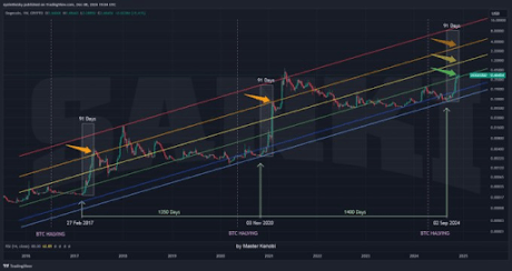 Dogecoin price 91