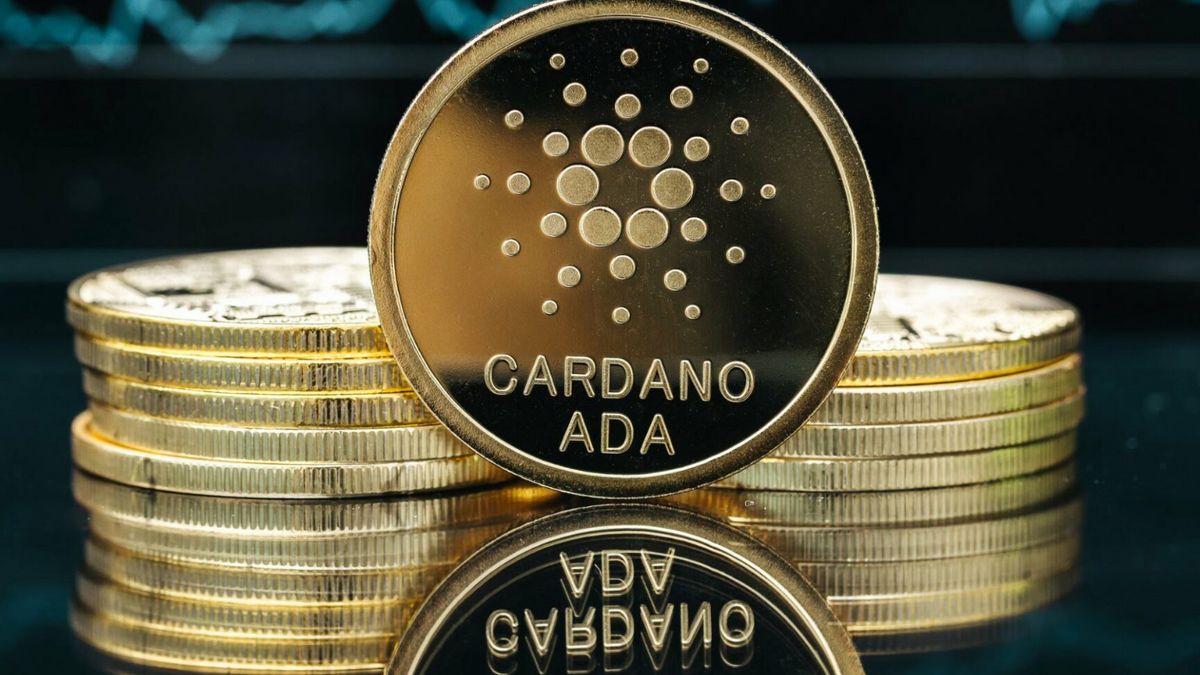 Cardano