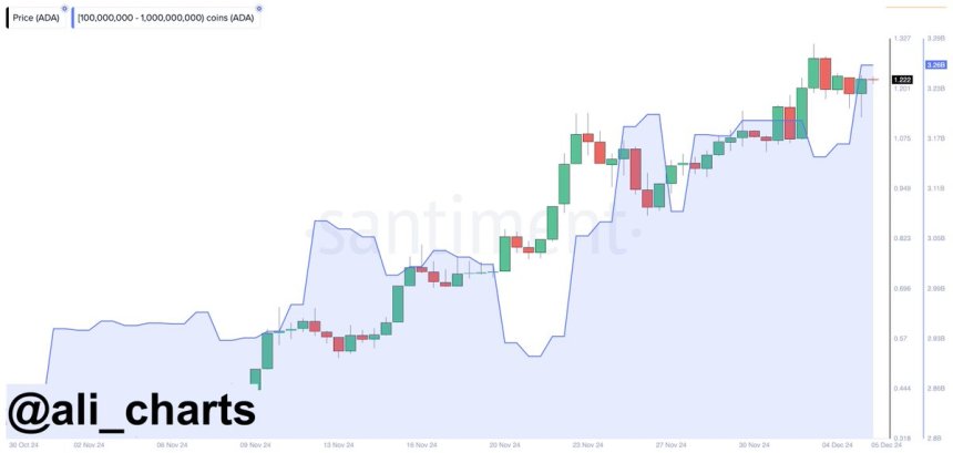 Cardano whales bought over 100 million $ADA in the last 24 hours