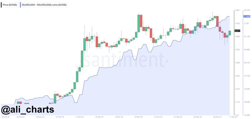 Dogecoin whales bought 210 million DOGE 