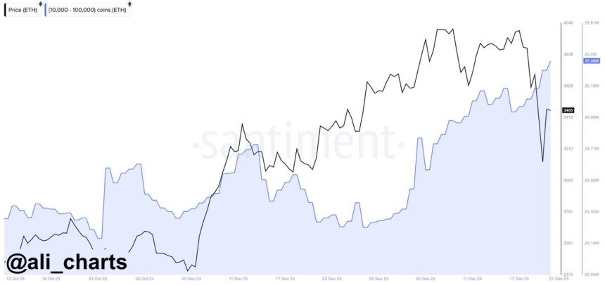 Ethereum whales bought 340,000 ETH in the last 96 hours 