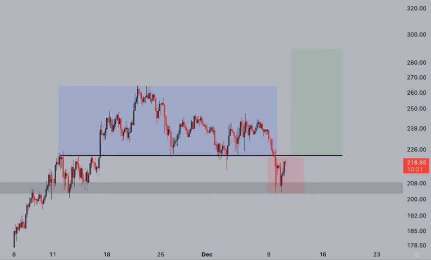 Solana holds key support at $203 